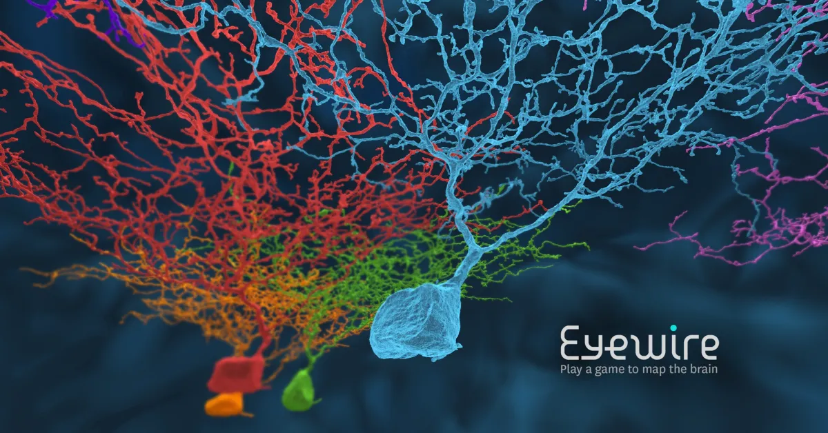 Game Games That Helped Scientists Study Real Player Behavior Eyewire